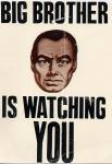 Big Brother is Watching You !